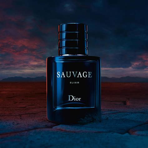 dm sauvage dior|Dior Sauvage cheapest price uk.